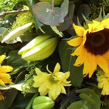 Funeral Flowers Lovely Sunflower Spray