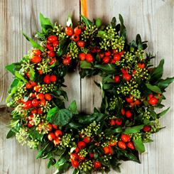 Christmas Wreath - Noel Wreath of Christmas