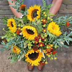   Walter Smith Collection - A Beautiful Bouquet of Sunflowers