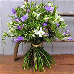   Walter Smith Collection - A Beautiful Bouquet of Freesia Zest