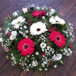 Funeral Flowers - Germini red and white posy