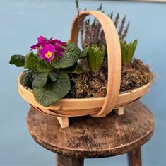 A Planted Basket