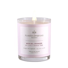 My Lovely Orange Tree Scented Candle