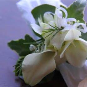 fwthumbGingerWhiteCoursage.jpg