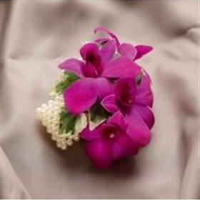 fwthumbdendrobium-corsarge.jpg