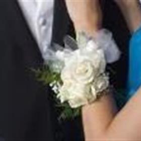 fwthumbth_images4.jpg