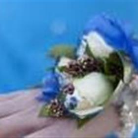 fwthumbth_images5.jpg